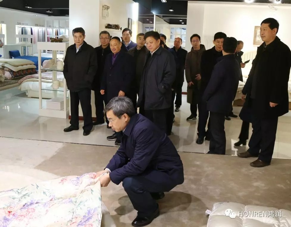 安徽省委常委、常務(wù)副省長鄧向陽到鴻潤視察
